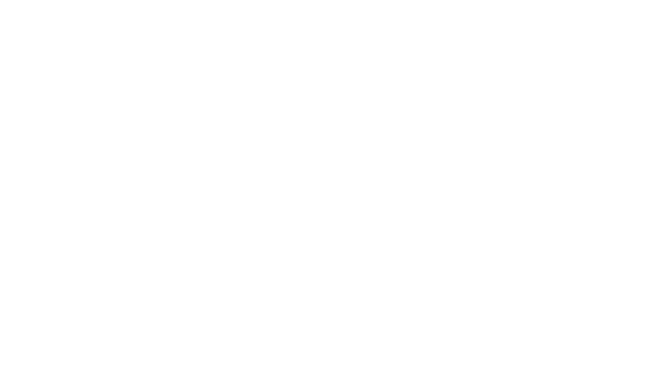 The Best Paddle logo